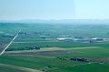 DSC_6271 PZ01 Falcone